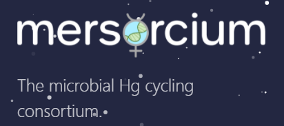 mercury cycling